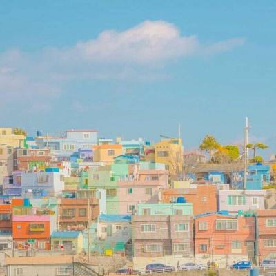 波胆app官网下载手机版截图